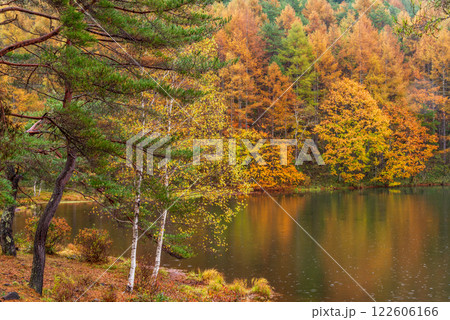 【長野県】雨の日の御射鹿池・紅葉 122606166