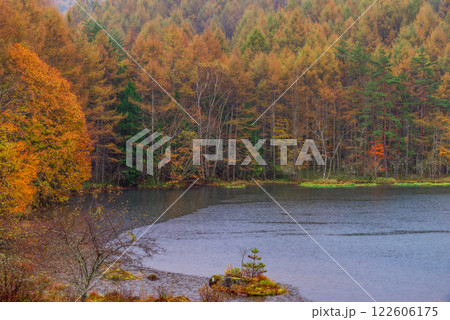 【長野県】雨の日の御射鹿池・紅葉 122606175