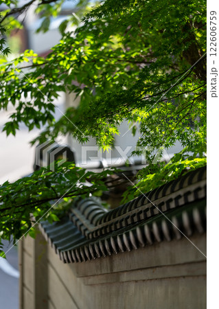 青紅葉 122606759