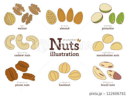 アーモンドやクルミなどのナッツのイラストのセット_主線あり アーモンドやクルミなどのナッツのイラストのセット_主線あり 122606781