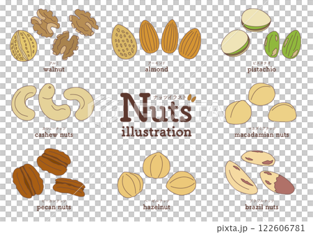 アーモンドやクルミなどのナッツのイラストのセット_主線あり アーモンドやクルミなどのナッツのイラストのセット_主線あり 122606781