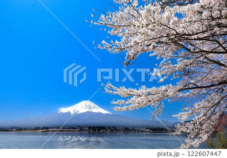 満開桜の河口湖畔から望む富士山 山梨県河口湖町 満開桜の河口湖畔から望む富士山 山梨県河口湖町 122607447