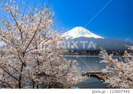 満開桜の河口湖畔から望む富士山　山梨県河口湖町 122607448