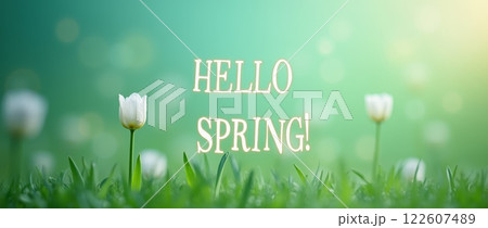 Hello Spring text with white tulips on green blurred background. Seasonal greeting banner with soft bokeh and copy space 122607489