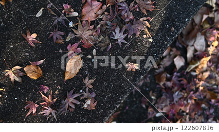 階段に落ちた落ち葉 階段に落ちた落ち葉 122607816
