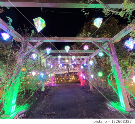やくらいガーデンのイルミイベント 122608383