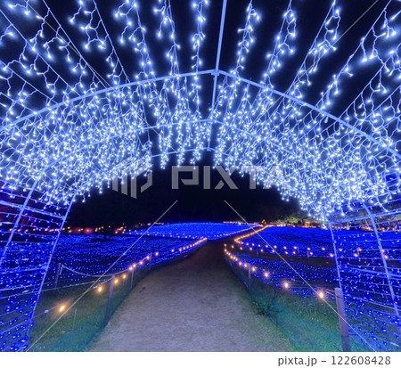 やくらいガーデンのイルミイベント 122608428