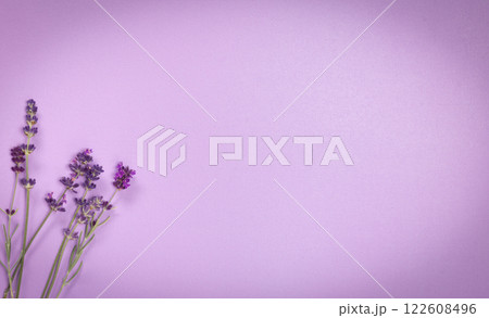 finely textured shiny lavender color background with lavender stems with vignette 122608496