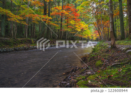森町の遠江国一宮小國神社のもみじまつりの紅葉の風景(静岡県) 森町の遠江国一宮小國神社のもみじまつりの紅葉の風景(静岡県) 122608944