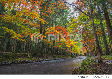 森町の遠江国一宮小國神社のもみじまつりの紅葉した木々と川の風景(静岡県) 122608945