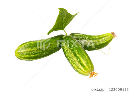 Cucumbers isolated on white. Cucumbers isolated on white. 122609135