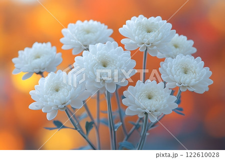 Elegant White Chrysanthemums Against a Warm Autumn Bokeh Background for Floral-Themed Designs Generative AI 122610028