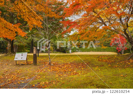 浜松市の鳥羽山公園の夕方の紅葉の風景(静岡県) 浜松市の鳥羽山公園の夕方の紅葉の風景(静岡県) 122610254