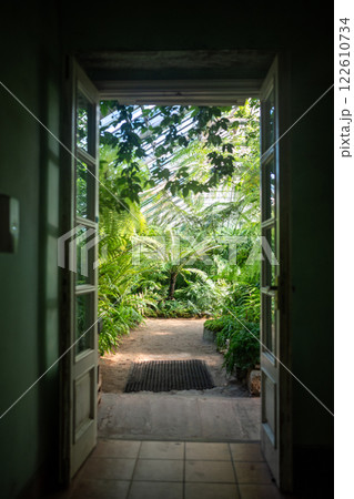 View to the open door in greenhouse with various ferns, palms and other tropical plants in sunny day 122610734