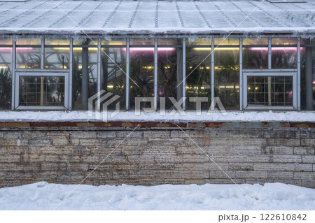 Led photo lamps inside of old greenhouse, plant care during wintertime. Winter plant care Led photo lamps inside of old greenhouse, plant care during wintertime. Winter plant care 122610842