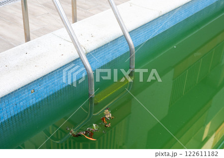 Swimming pool with dirty green water close-up. Swimming pool with dirty green water close-up. 122611182