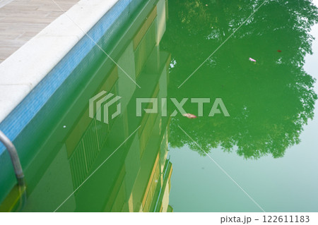 Swimming pool with dirty green water close-up. Swimming pool with dirty green water close-up. 122611183