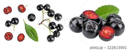 Chokeberry with leaf isolated on white background. Black aronia. Top view. Flat lay 122613001