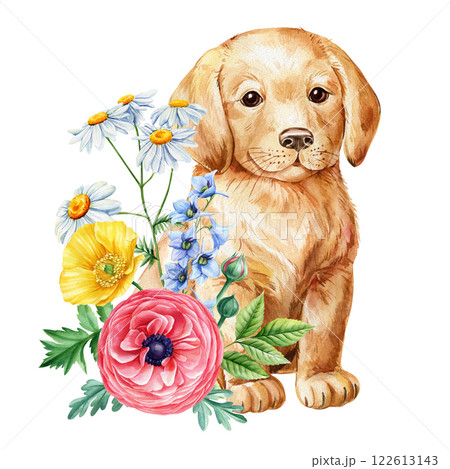 Golden retriever puppy with chamomile, ranunculus flowers watercolor, cute dog floral illustration for decor and prints Golden retriever puppy with chamomile, ranunculus flowers watercolor, cute dog floral illustration for decor and prints 122613143