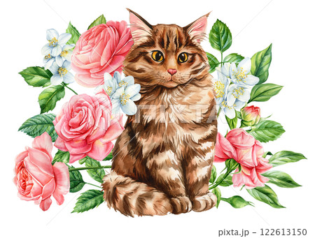 Cat with pink flowers. Hand drawn illustration fluffy kitten, rose, Jasmine. Watercolor botanical animal art print decor Cat with pink flowers. Hand drawn illustration fluffy kitten, rose, Jasmine. Watercolor botanical animal art print decor 122613150