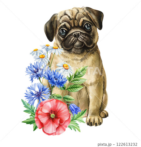 sweet little pug puppy with blue and red wildflowers watercolor illustration, cute pet painting for poster greeting card 122613232