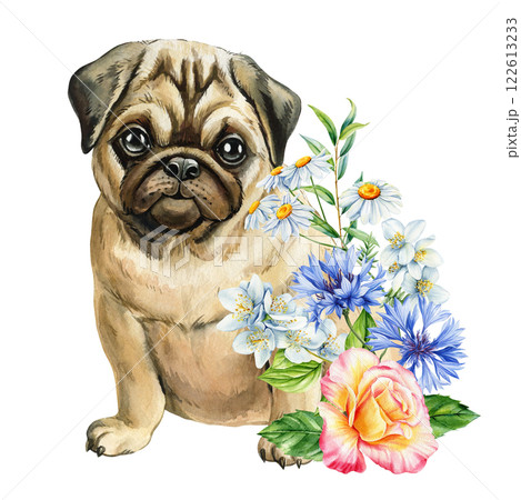 adorable pug puppy, cornflowers and roses watercolor illustration, cute dog portrait with flowers, pet art for posters 122613233
