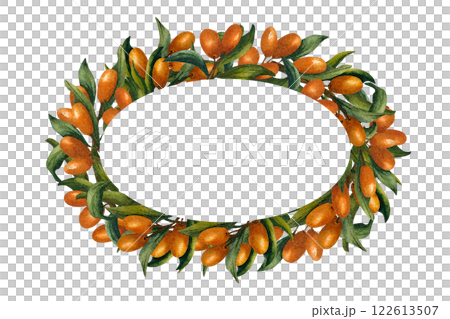 Oval frame with branches of sea buckthorn around the perimeter and frame inside. Watercolor illustration isolated from the background. For packaging of tea and cosmetics, oils, print product Oval frame with branches of sea buckthorn around the perimeter and frame inside. Watercolor illustration isolated from the background. For packaging of tea and cosmetics, oils, print product 122613507