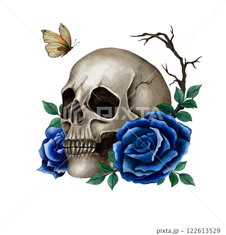 Skull with dark blue roses, branches and butterfly. Watercolor illustration in Gothic style for Halloween and Day of the Dead isolated from the background. For packing, pattern, textile and cards 122613529
