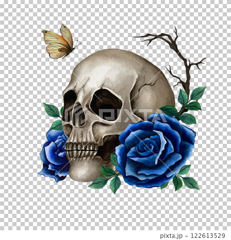 Skull with dark blue roses, branches and butterfly. Watercolor illustration in Gothic style for Halloween and Day of the Dead isolated from the background. For packing, pattern, textile and cards 122613529