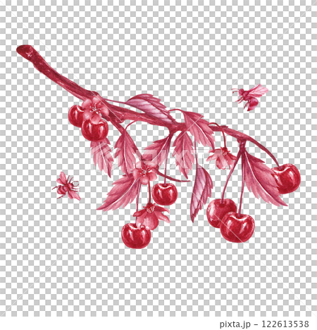 A branch of cherries and bees. Red monochrome watercolor illustration isolated from the background. Compound hand drawn composition of berries, leaves, twig and insects for packaging of jam, tincture 122613538