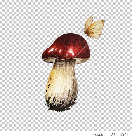 Aspen mushroom with a red cap and a flying butterfly on the side. Watercolor illustration isolated from the background. Hand drawn red-headed mushroom with dirt spots. For book and autumn composition Aspen mushroom with a red cap and a flying butterfly on the side. Watercolor illustration isolated from the background. Hand drawn red-headed mushroom with dirt spots. For book and autumn composition 122613546