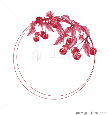 Circle frame with cherry branch. Watercolor berries. Monochrome style. Hand drawn isolated illustration twigs with cherry bloom. Red shades. For packaging dumplings, juice, tincture, liqueur, compote 122613548