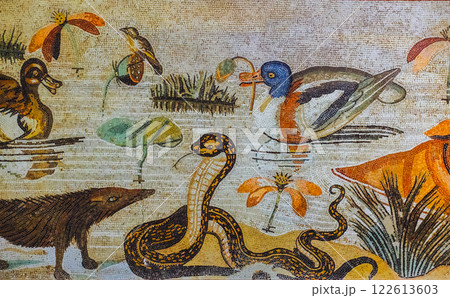 Naples, Italy - November 18, 2024: Fragment of historical ancient Roman mosaic circa 100 BC . Archaeological artifact from an excavated house in the buried volcano Vesuvius, Pompeii. Naples, Italy - November 18, 2024: Fragment of historical ancient Roman mosaic circa 100 BC . Archaeological artifact from an excavated house in the buried volcano Vesuvius, Pompeii. 122613603