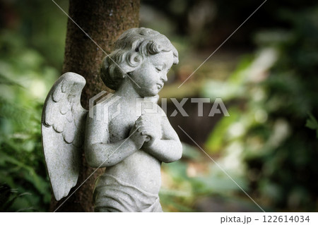 putti with wings in a cemetery 122614034