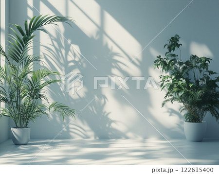 Elegant indoor studio setup with plants casting shadows on a white gradient background Elegant indoor studio setup with plants casting shadows on a white gradient background 122615400