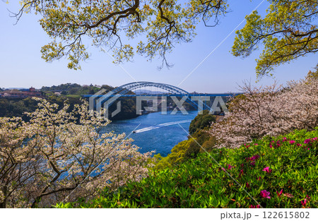 夕焼けに染まる西海橋に満開の桜と渦潮のコラボレーション 122615802