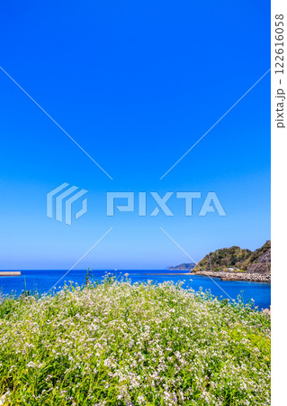 高台から見た角力灘の青い海と青い空 高台から見た角力灘の青い海と青い空 122616058