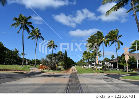 ハワイアンレイルウェイ 122616431