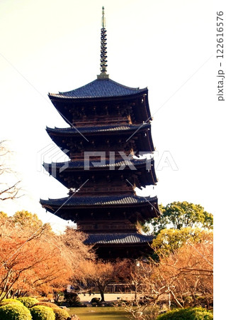 京都府 東寺・五重塔(国宝) 京都市 南区 九条町 2022年2月 京都府 東寺・五重塔(国宝) 京都市 南区 九条町 2022年2月 122616576