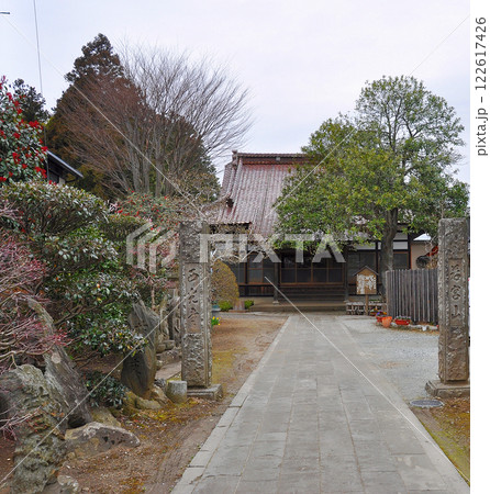 奥州街道　笠石宿　西光寺境内　本堂と多羅葉の木 122617426