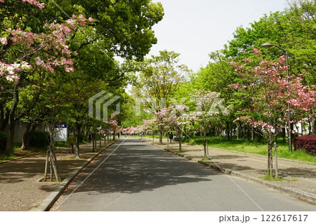 長居公園遊歩道 長居公園遊歩道 122617617