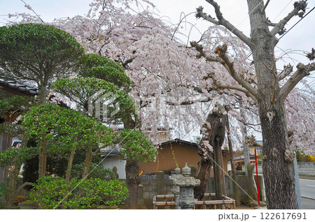 奥州街道　笠石宿　西光寺境内 122617691