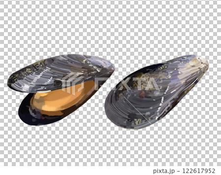 mussels	 122617952