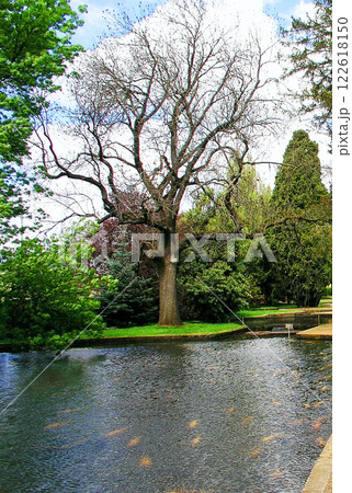 オーストラリア タスマニア島 サケマス孵化場 サーモンポンド オーストラリア タスマニア島 サケマス孵化場 サーモンポンド 122618150