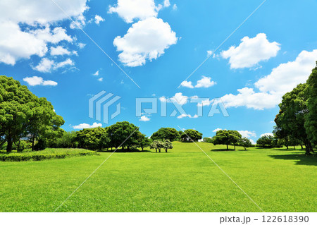 千葉県　爽やかな青空と新緑の公園 122618390