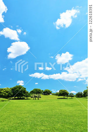 千葉県　爽やかな青空と新緑の公園 122618391