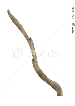 Watercolor Branch Dry Illustration One for Print and Web 122618619