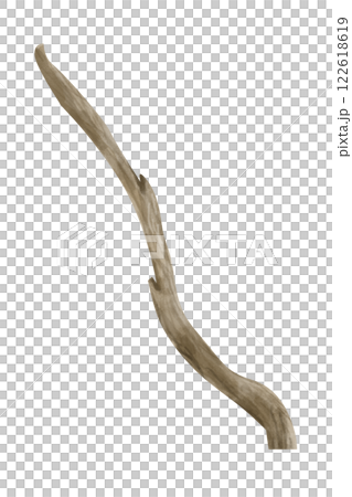 Watercolor Branch Dry Illustration One for Print and Web 122618619