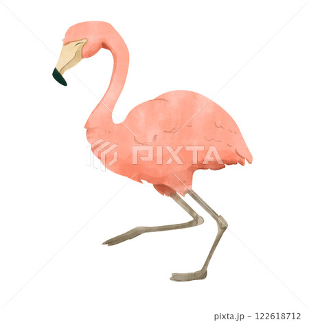 Watercolor Illustration of a Pink Flamingo Tropical Bird for Print and Web Watercolor Illustration of a Pink Flamingo Tropical Bird for Print and Web 122618712