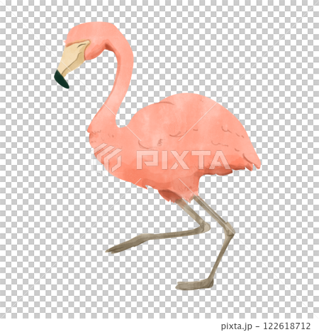 Watercolor Illustration of a Pink Flamingo Tropical Bird for Print and Web Watercolor Illustration of a Pink Flamingo Tropical Bird for Print and Web 122618712